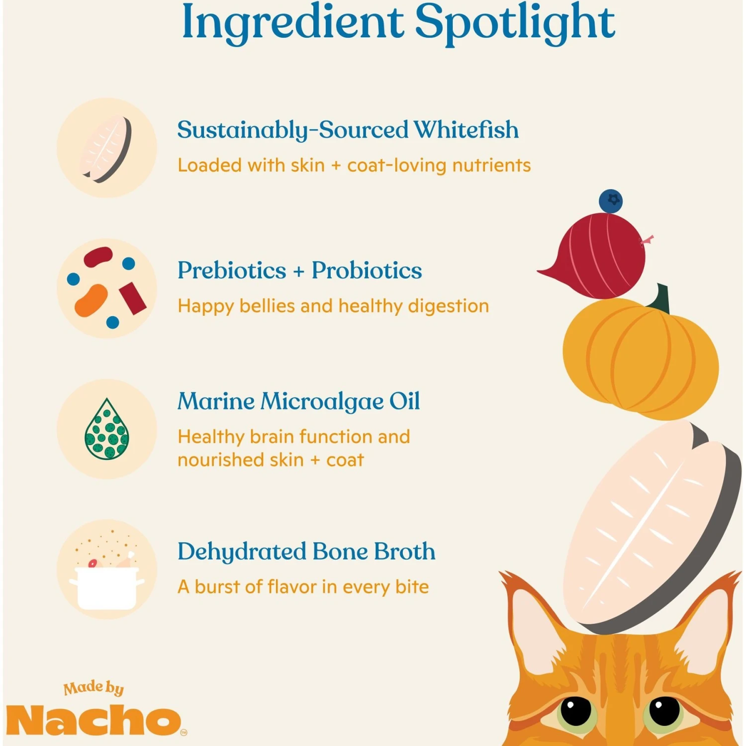 Made By Nacho Skin & Coat Support Sustainably Caught Whitefish & Pumpkin Recipe Dry Cat Food 6 Made By Nacho Skin & Coat Support Sustainably Caught Whitefish & Pumpkin Recipe Dry Cat Food - Image 4