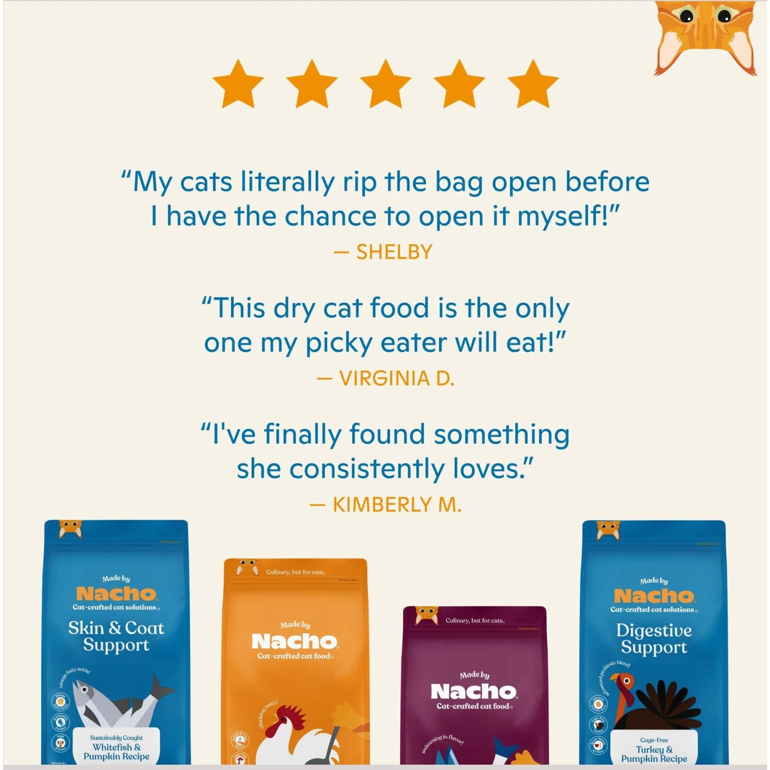 Made By Nacho Skin & Coat Support Sustainably Caught Whitefish & Pumpkin Recipe Dry Cat Food 7 Made By Nacho Skin & Coat Support Sustainably Caught Whitefish & Pumpkin Recipe Dry Cat Food - Image 5