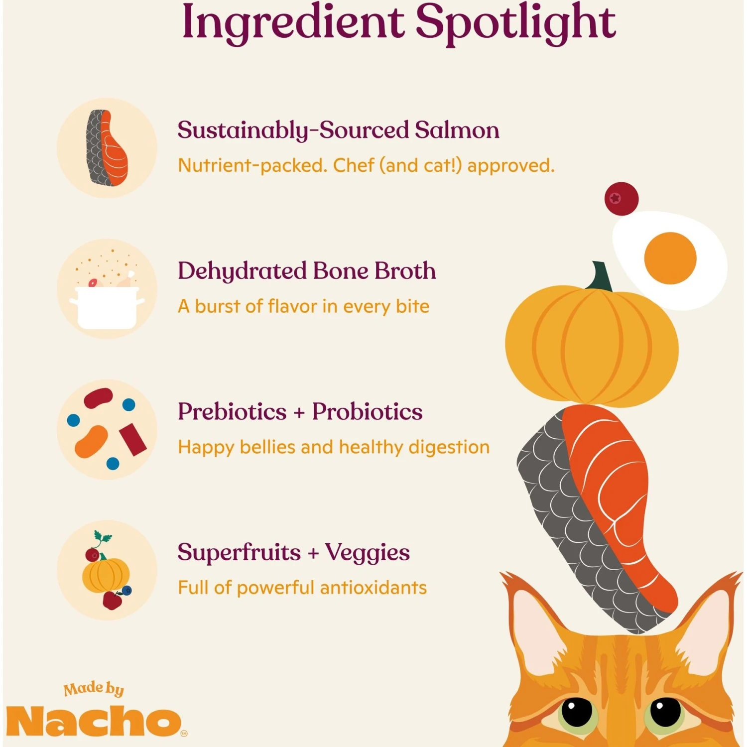 Made By Nacho Bone Broth Infused Sustainably Caught Salmon & Pumpkin Recipe Dry Cat Food 6 Made By Nacho Bone Broth Infused Sustainably Caught Salmon & Pumpkin Recipe Dry Cat Food - Image 4