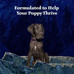 Blue Buffalo Wilderness Turkey & Chicken Grill Grain-Free Puppy Canned Dog Food 13 Blue Buffalo Wilderness Turkey & Chicken Grill Grain-Free Puppy Canned Dog Food -Blue Buffalo Shop 75750 PT3. AC SS1800 V1646788894