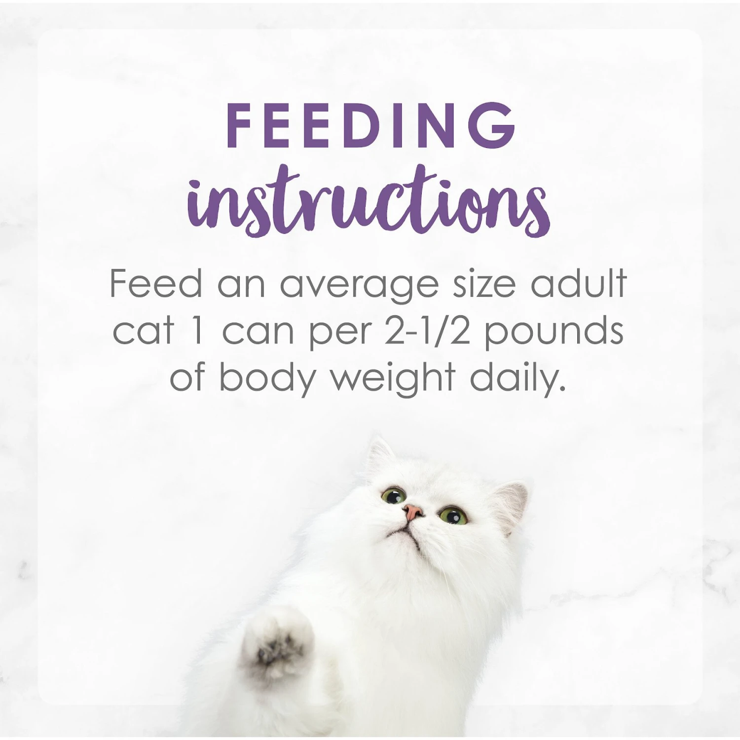 Fancy Feast Medleys Wild Salmon Florentine Canned Cat Food 10 Fancy Feast Medleys Wild Salmon Florentine Canned Cat Food - Image 8