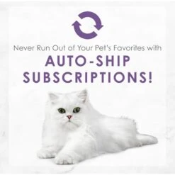 Fancy Feast Medleys Wild Salmon Florentine Canned Cat Food 19 Fancy Feast Medleys Wild Salmon Florentine Canned Cat Food -Blue Buffalo Shop 75886 PT8. AC SS1800 V1586526392