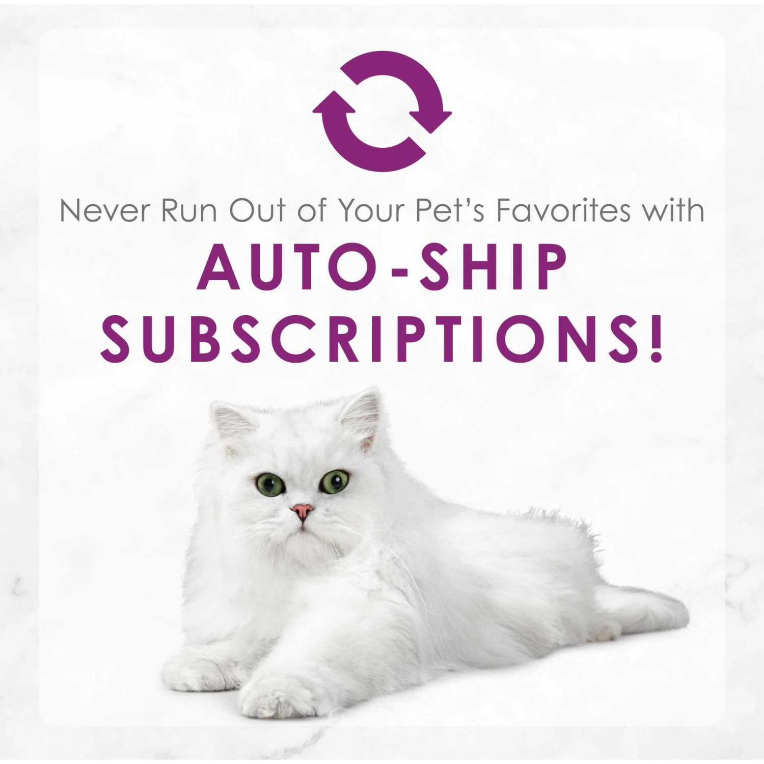 Fancy Feast Medleys White Meat Chicken Florentine Canned Cat Food 11 Fancy Feast Medleys White Meat Chicken Florentine Canned Cat Food - Image 9