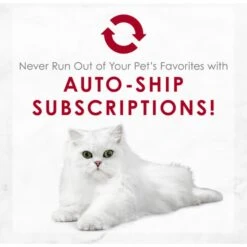 Fancy Feast Medleys Wild Salmon Primavera Canned Cat Food 19 Fancy Feast Medleys Wild Salmon Primavera Canned Cat Food -Blue Buffalo Shop 75898 PT8. AC SS1800 V1649107890