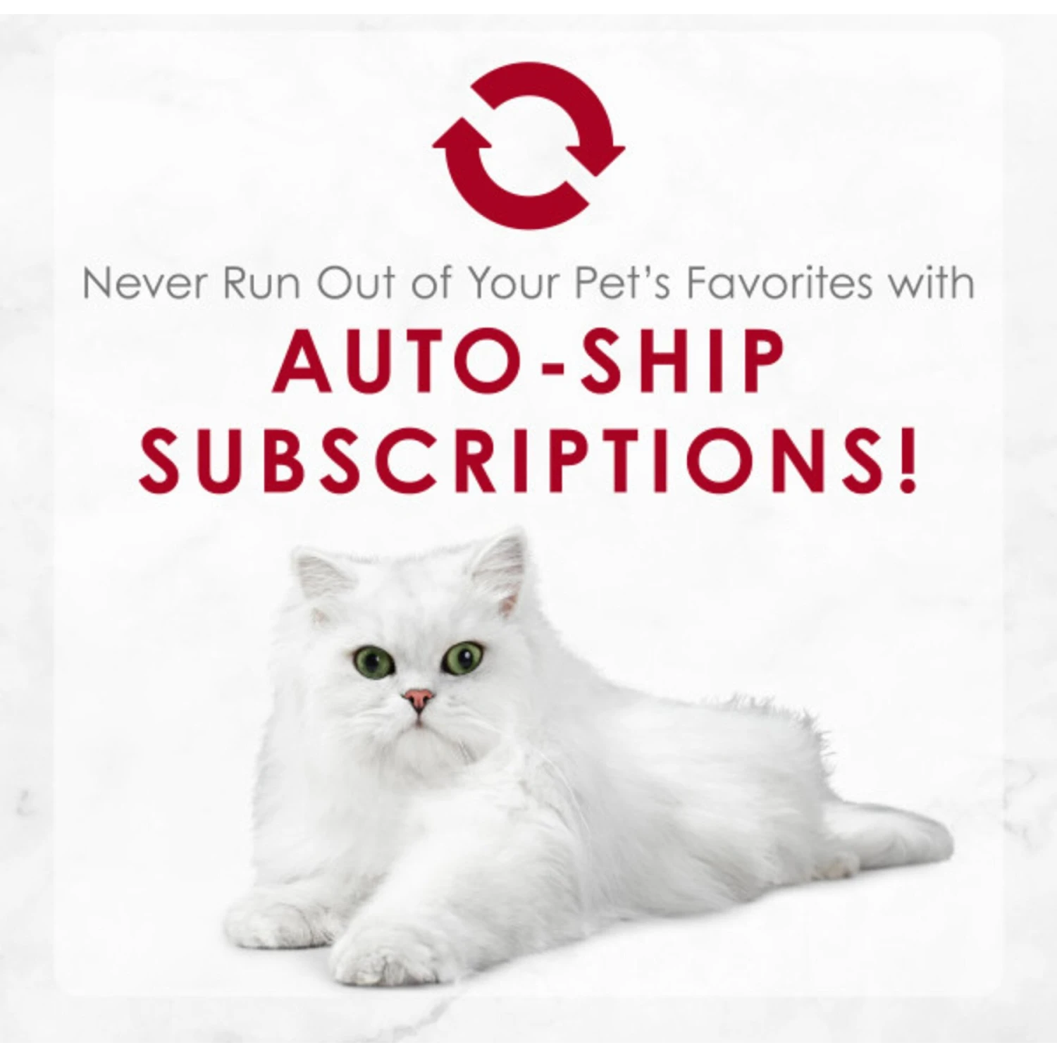 Fancy Feast Medleys Wild Salmon Primavera Canned Cat Food 11 Fancy Feast Medleys Wild Salmon Primavera Canned Cat Food - Image 9