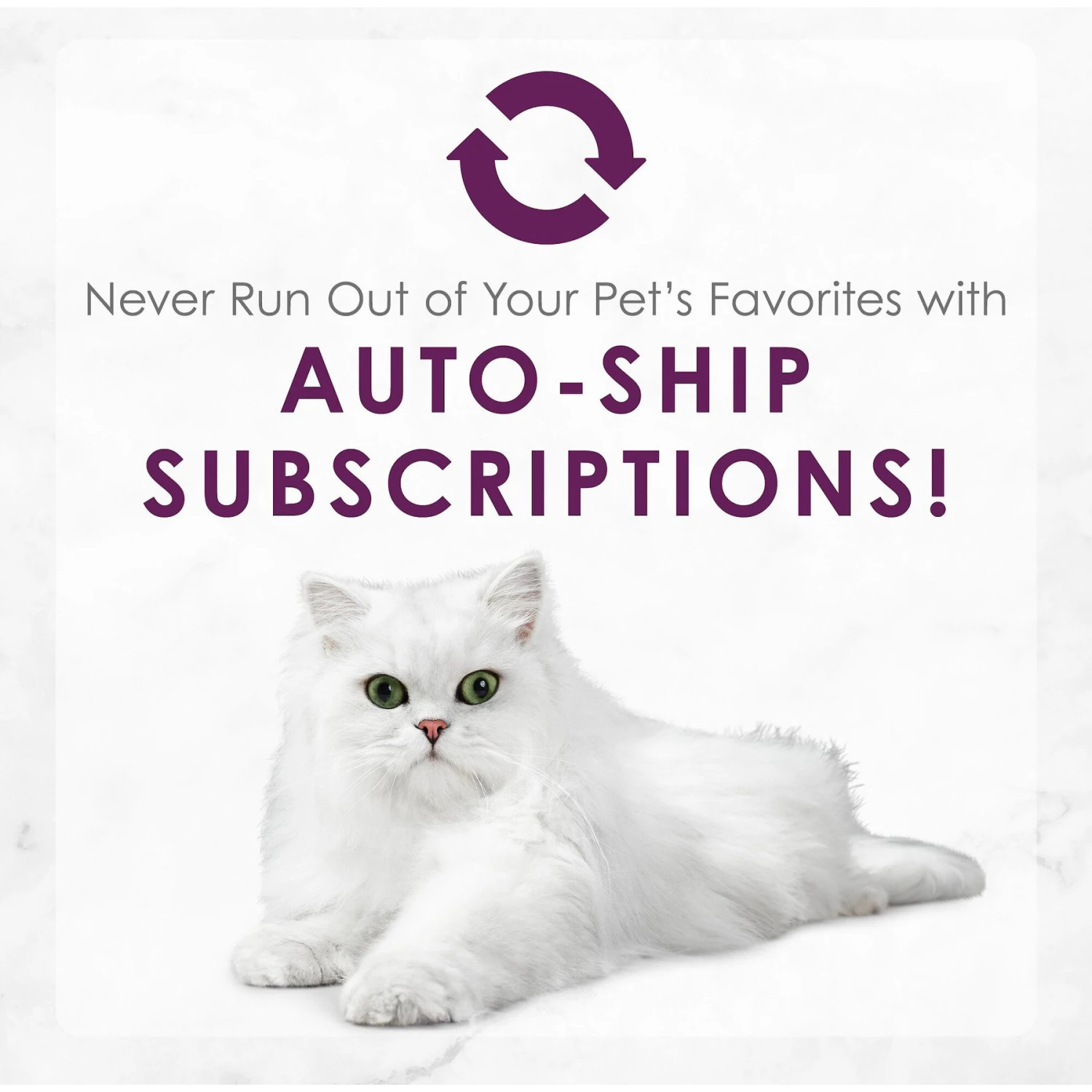 Fancy Feast Elegant Medleys White Meat Chicken Tuscany Canned Cat Food 11 Fancy Feast Elegant Medleys White Meat Chicken Tuscany Canned Cat Food - Image 9