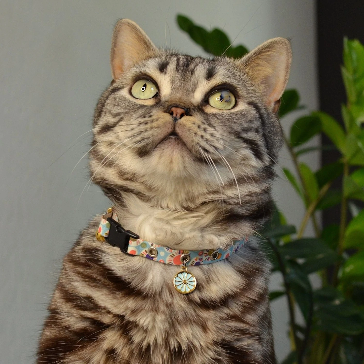 Necoichi Sunny Blossoms Cat Collar 9 Necoichi Sunny Blossoms Cat Collar - Image 7