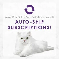 Fancy Feast Delights With Cheddar Grilled Variety Pack Canned Cat Food 19 Fancy Feast Delights With Cheddar Grilled Variety Pack Canned Cat Food -Blue Buffalo Shop 75992 PT8. AC SS1800 V1693928311