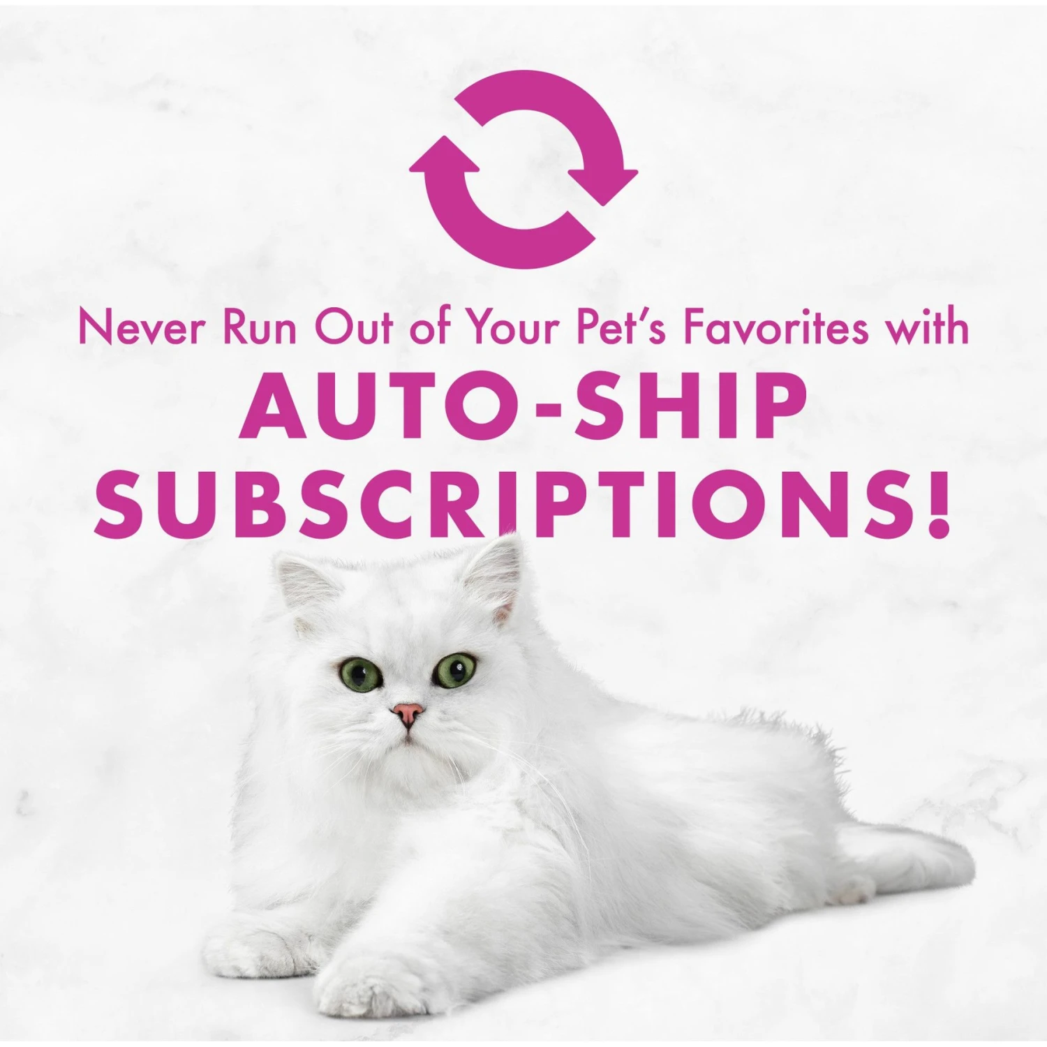 Fancy Feast Poultry & Beef Classic Pate Variety Pack Canned Cat Food 10 Fancy Feast Poultry & Beef Classic Pate Variety Pack Canned Cat Food - Image 8