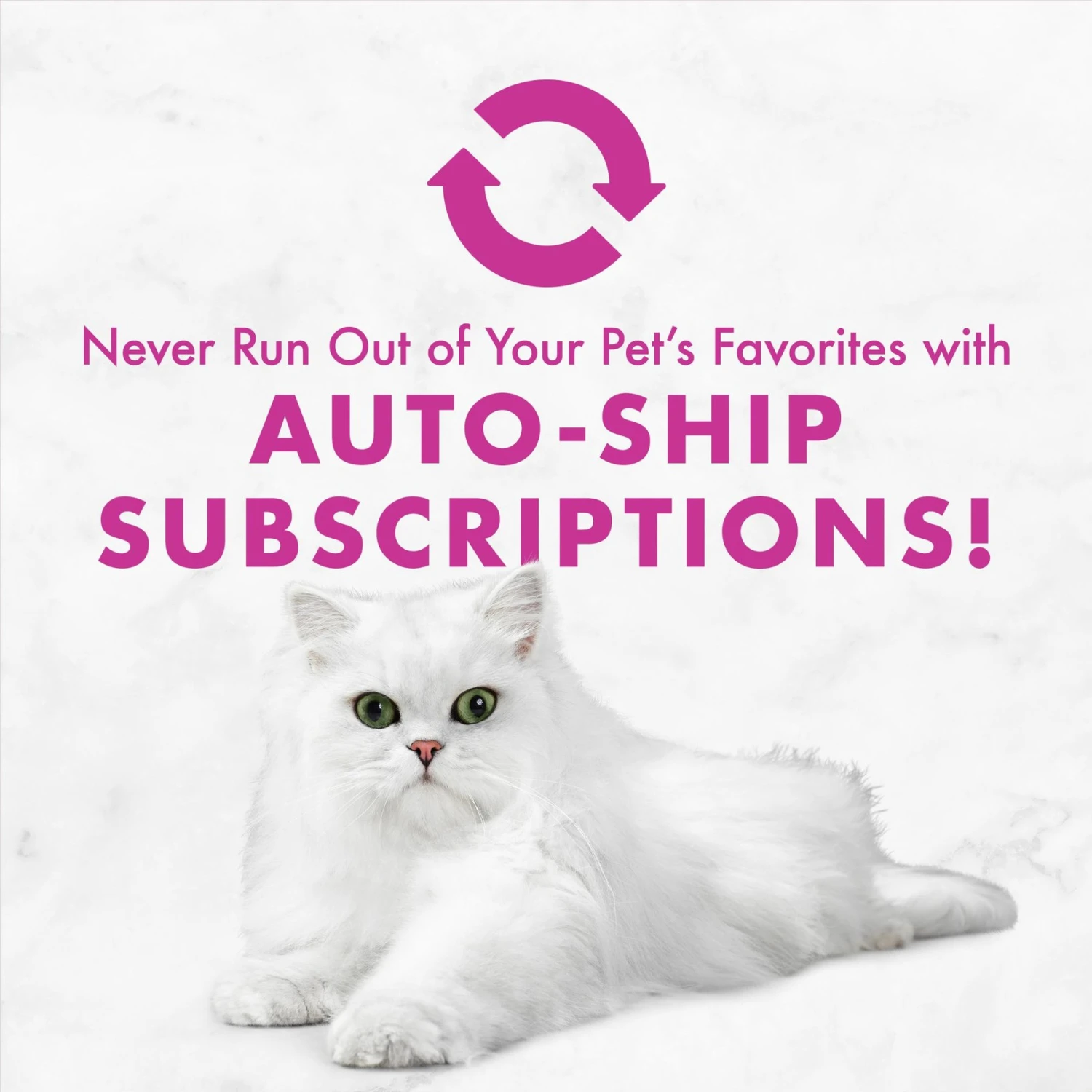 Fancy Feast Poultry & Beef Classic Pate Variety Pack Canned Cat Food 11 Fancy Feast Poultry & Beef Classic Pate Variety Pack Canned Cat Food - Image 9