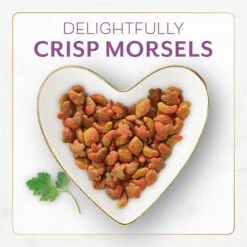 Purina Fancy Feast With Savory Chicken & Turkey Dry Cat Food 13 Purina Fancy Feast With Savory Chicken & Turkey Dry Cat Food -Blue Buffalo Shop 76144 PT2. AC SS1800 V1678292166