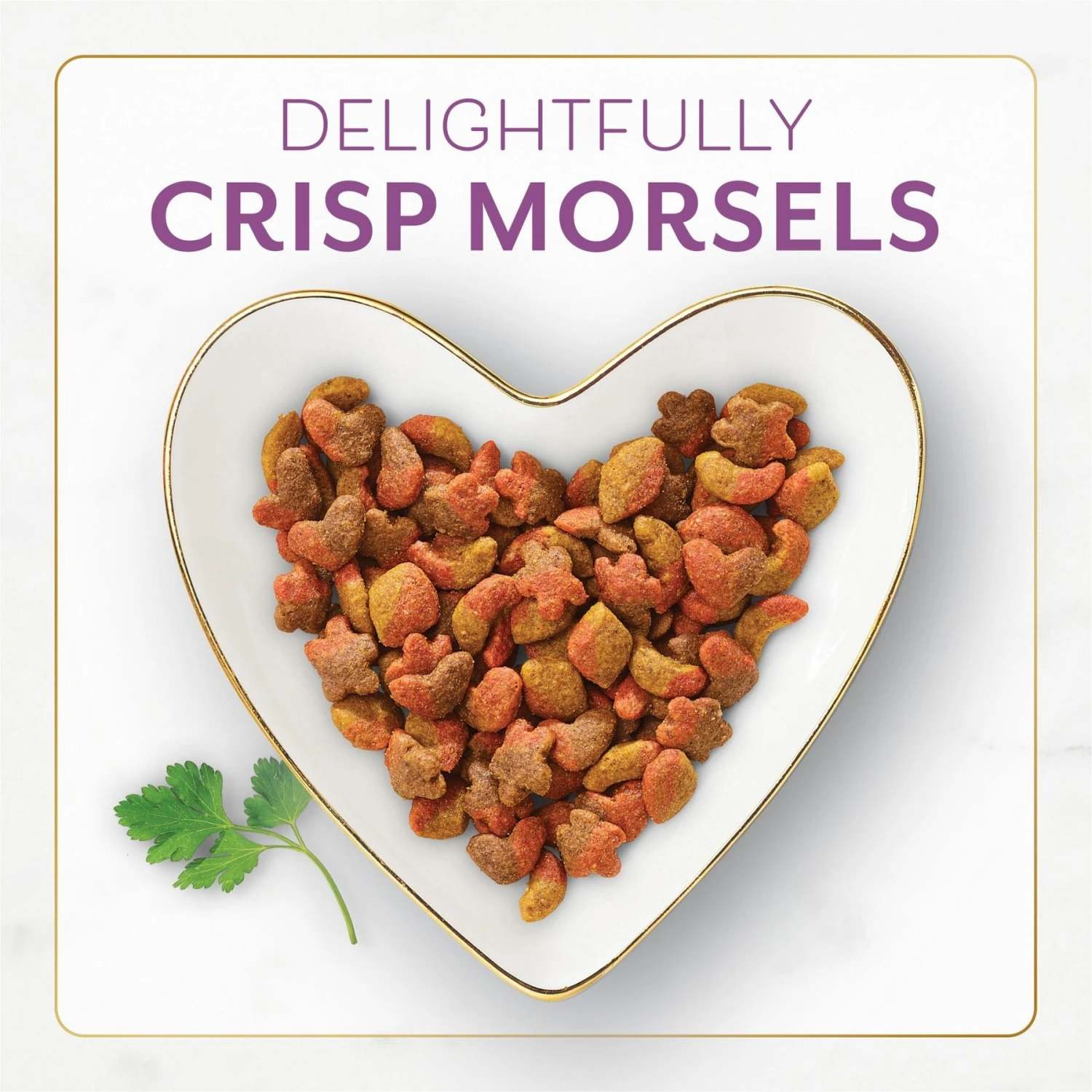 Purina Fancy Feast With Savory Chicken & Turkey Dry Cat Food 5 Purina Fancy Feast With Savory Chicken & Turkey Dry Cat Food - Image 3