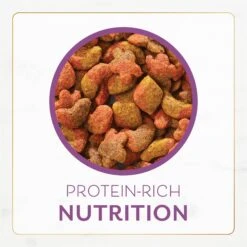 Purina Fancy Feast With Savory Chicken & Turkey Dry Cat Food 19 Purina Fancy Feast With Savory Chicken & Turkey Dry Cat Food -Blue Buffalo Shop 76144 PT8. AC SS1800 V1678286035