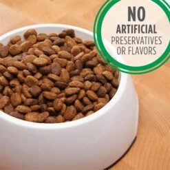 Iams Proactive Health MiniChunks Small Kibble Adult Chicken & Whole Grain Dry Dog Food & Iams Proactive Health Large Breed With Real Chicken Adult Dry Dog Food -Blue Buffalo Shop 761534 PT4. AC SS1800 V1674599281