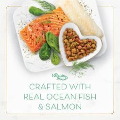 Fancy Feast Gourmet Ocean Fish & Salmon & Accents Of Garden Greens Dry Cat Food 15 Fancy Feast Gourmet Ocean Fish & Salmon & Accents Of Garden Greens Dry Cat Food -Blue Buffalo Shop 76155 PT4. AC SS1800 V1678228255