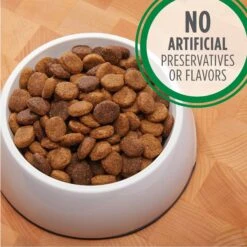 Iams ProActive Health Classic Ground With Chicken & Whole Grain Rice Adult Wet Dog Food & Iams Proactive Health Large Breed With Real Chicken Adult Dry Dog Food -Blue Buffalo Shop 761606 PT8. AC SS1800 V1674596916