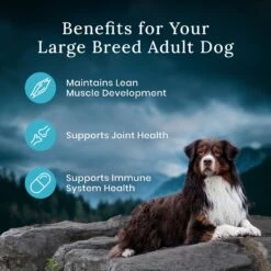 Blue Buffalo Blue Wilderness Premier Blend With Meaty Cuts Chicken Large Breed Adult Dry Dog Food, 24-lb Bag -Blue Buffalo Shop 761774 PT6. AC SS1800 V1680630143