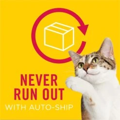 Friskies Classic Pate Turkey & Giblets Dinner Canned Cat Food -Blue Buffalo Shop 76202 PT8. AC SS1800 V1541533044