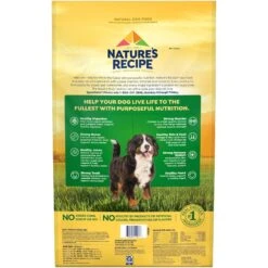 Nature's Recipe Large Breed Grain-Free Chicken, Sweet Potato & Pumpkin Recipe Dry Dog Food 13 Nature's Recipe Large Breed Grain-Free Chicken, Sweet Potato & Pumpkin Recipe Dry Dog Food -Blue Buffalo Shop 76257 PT2. AC SS1800 V1672782316