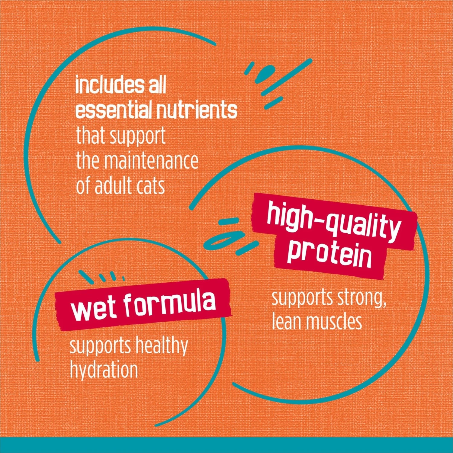 Friskies Tasty Treasures Chicken, Tuna & Scallop Flavor In Gravy Canned Cat Food 10 Friskies Tasty Treasures Chicken, Tuna & Scallop Flavor In Gravy Canned Cat Food - Image 8