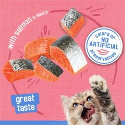 Friskies Savory Shreds With Salmon In Sauce Canned Cat Food 14 Friskies Savory Shreds With Salmon In Sauce Canned Cat Food -Blue Buffalo Shop 76366 PT3. AC SS1800 V1699391234
