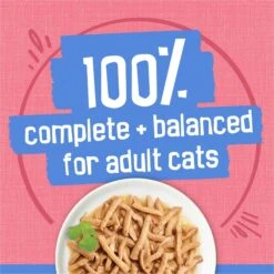 Friskies Savory Shreds With Salmon In Sauce Canned Cat Food 16 Friskies Savory Shreds With Salmon In Sauce Canned Cat Food -Blue Buffalo Shop 76366 PT5. AC SS1800 V1700157204