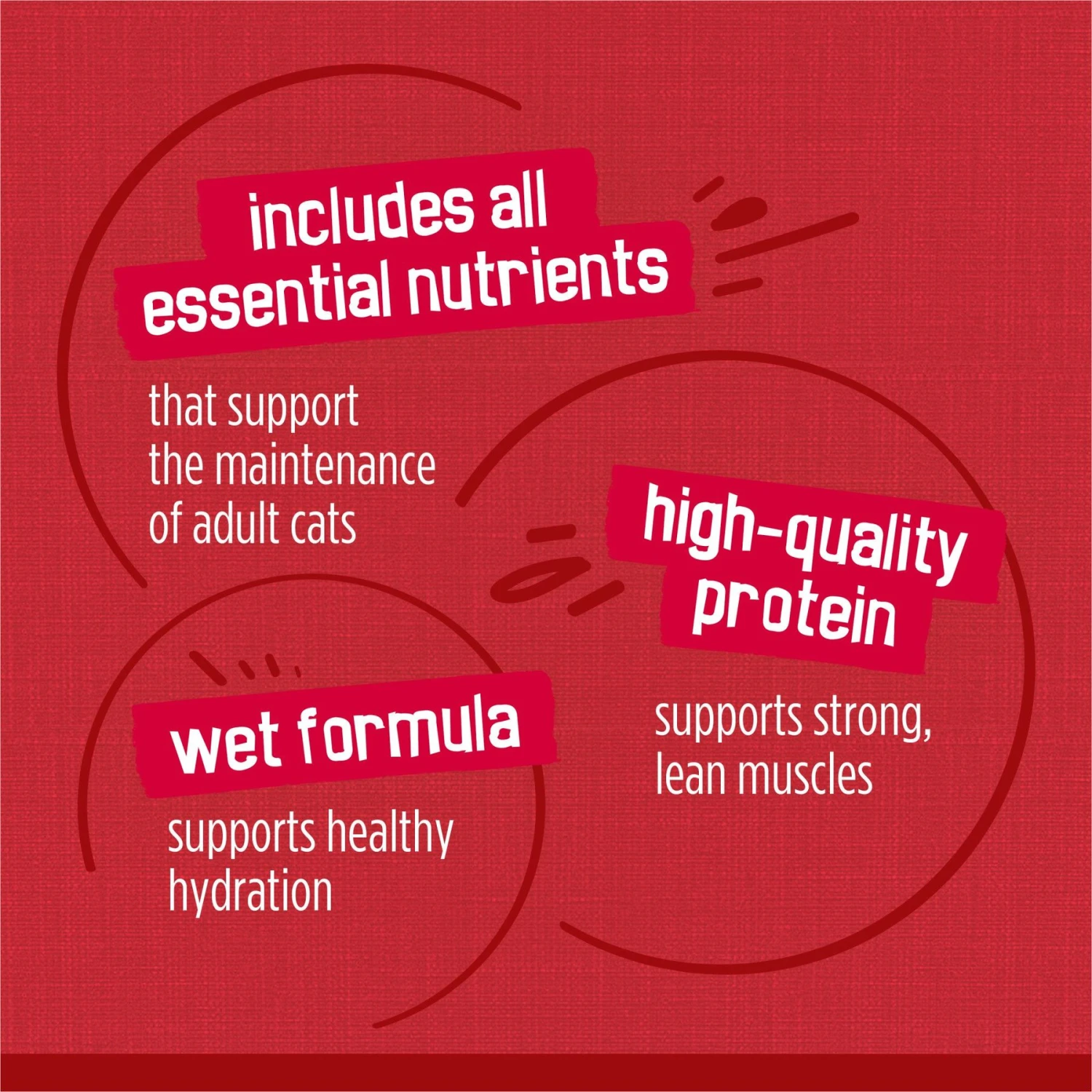 Friskies Prime Filets With Beef In Gravy Canned Cat Food 10 Friskies Prime Filets With Beef In Gravy Canned Cat Food - Image 8