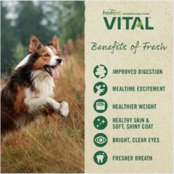 Freshpet Vital Beef & Lamb Grain-Free Fresh Dog Food 15 Freshpet Vital Beef & Lamb Grain-Free Fresh Dog Food -Blue Buffalo Shop 764062 PT5. AC SS1800 V1694011731