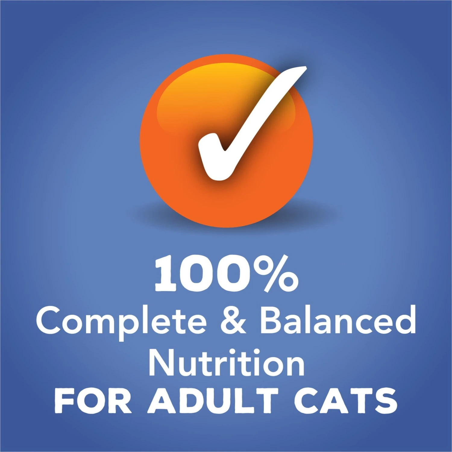 Friskies Gravy Sensations Seafood Favorites Wet Cat Food Pouches 5 Friskies Gravy Sensations Seafood Favorites Wet Cat Food Pouches - Image 3