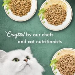 Fancy Feast Medleys Shredded Fare Collection Pack Canned Cat Food -Blue Buffalo Shop 76517 PT4. AC SS1800 V1666839052