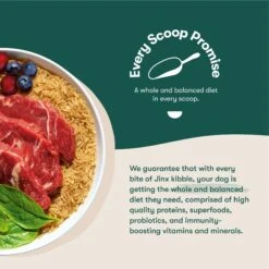 Jinx Beef, Brown Rice & Sweet Potato ALS Kibble Dog Dry Food -Blue Buffalo Shop 765582 PT5. AC SS1800 V1675200403