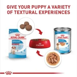 Royal Canin Size Health Nutrition Medium Puppy Thin Slices In Gravy Wet Dog Food, 13-oz, Case Of 12 -Blue Buffalo Shop 766710 PT4. AC SS1800 V1697213092