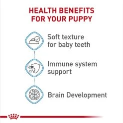 Royal Canin Size Health Nutrition X-Small Puppy Thin Slices In Gravy Wet Dog Food, 3-oz, Case Of 24 -Blue Buffalo Shop 766726 PT4. AC SS1800 V1697217044