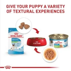 Royal Canin Size Health Nutrition X-Small Puppy Thin Slices In Gravy Wet Dog Food, 3-oz, Case Of 24 -Blue Buffalo Shop 766726 PT5. AC SS1800 V1697212367