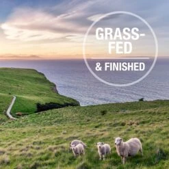 Feline Natural Beef Grain-Free Freeze-Dried Cat Food, 11-oz Bag 16 Feline Natural Beef Grain-Free Freeze-Dried Cat Food, 11-oz Bag -Blue Buffalo Shop 767438 PT6. AC SS1800 V1675888009