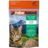 Feline Natural Lamb Grain-Free Freeze-Dried Cat Food, 11-oz Bag -Blue Buffalo Shop 767470 MAIN. AC SS1800 V1675888015