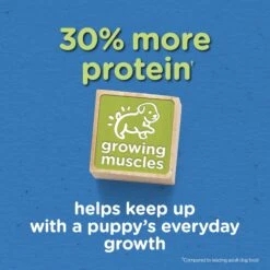 Puppy Chow Tender & Crunchy With Real Beef Dry Dog Food -Blue Buffalo Shop 767774 PT2. AC SS1800 V1675375952