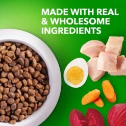 Iams Proactive Health Puppy High Protein DHA Formula With Real Chicken Dry Dog Food 14 Iams Proactive Health Puppy High Protein DHA Formula With Real Chicken Dry Dog Food -Blue Buffalo Shop 77199 PT3. AC SS1800 V1668024638