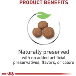 Royal Canin Size Health Nutrition Large Puppy Dry Dog Food 14 Royal Canin Size Health Nutrition Large Puppy Dry Dog Food -Blue Buffalo Shop 774142 PT3. AC SS1800 V1700156591