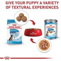 Royal Canin Size Health Nutrition Large Puppy Dry Dog Food 16 Royal Canin Size Health Nutrition Large Puppy Dry Dog Food -Blue Buffalo Shop 774142 PT5. AC SS1800 V1700158615