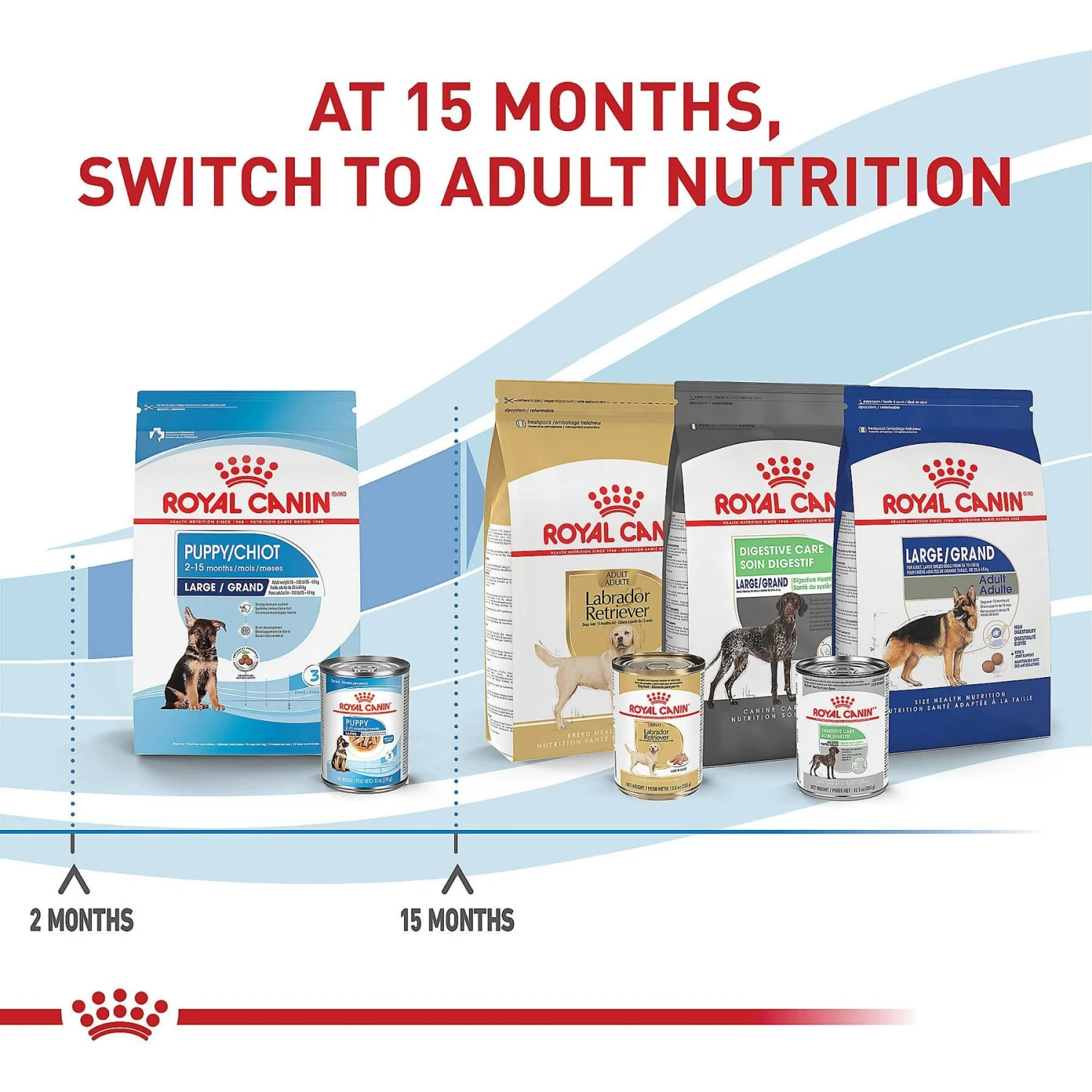 Royal Canin Size Health Nutrition Large Puppy Dry Dog Food 9 Royal Canin Size Health Nutrition Large Puppy Dry Dog Food - Image 7