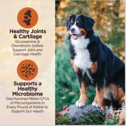 Wellness CORE Digestive Health Chicken & Brown Rice Dry Dog Food, 24-lb Bag -Blue Buffalo Shop 778398 PT4. AC SS1800 V1676653911