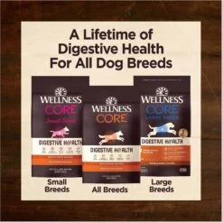 Wellness CORE Digestive Health Chicken & Brown Rice Dry Dog Food, 24-lb Bag -Blue Buffalo Shop 778398 PT8. AC SS1800 V1676653574