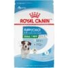 Royal Canin Size Health Nutrition Small Puppy Dry Dog Food -Blue Buffalo Shop 778790 MAIN. AC SS1800 V1676653912