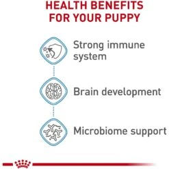 Royal Canin Size Health Nutrition Small Puppy Dry Dog Food 12 Royal Canin Size Health Nutrition Small Puppy Dry Dog Food -Blue Buffalo Shop 778790 PT4. AC SS1800 V1676653969