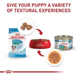 Royal Canin Size Health Nutrition Small Puppy Dry Dog Food 13 Royal Canin Size Health Nutrition Small Puppy Dry Dog Food -Blue Buffalo Shop 778790 PT5. AC SS1800 V1676653189