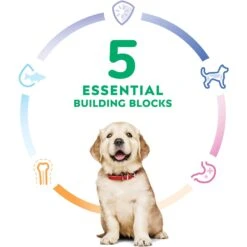 Hill's Science Diet Puppy Large Breed Chicken & Brown Rice Recipe Dry Dog Food -Blue Buffalo Shop 779142 PT4. AC SS1800 V1676748535