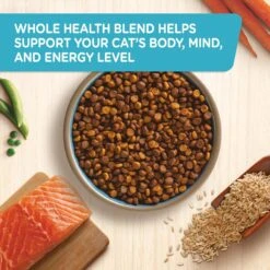 Rachael Ray Nutrish Natural Salmon & Brown Rice Recipe Dry Cat Food -Blue Buffalo Shop 77990 PT3. AC SS1800 V1691761185
