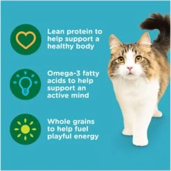 Rachael Ray Nutrish Natural Salmon & Brown Rice Recipe Dry Cat Food -Blue Buffalo Shop 77990 PT4. AC SS1800 V1691768521