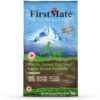 Firstmate Limited Ingredient Diet Grain-Free Pacific Ocean Fish Meal Large Breed Formula Dry Dog Food 1 Firstmate Limited Ingredient Diet Grain-Free Pacific Ocean Fish Meal Large Breed Formula Dry Dog Food -Blue Buffalo Shop 782862 MAIN. AC SS1800 V1677530180